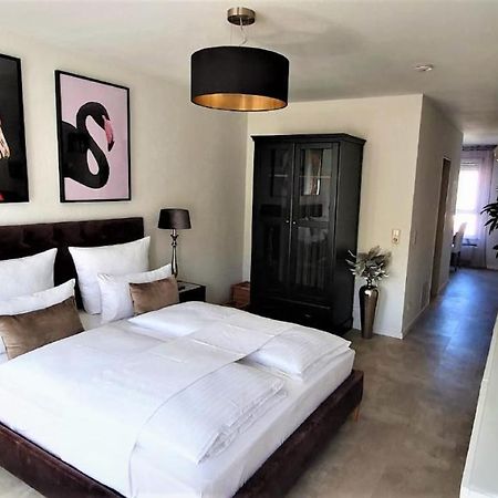 Deluxe Apartment Flamingo In Paradise Friburgo de Brisgovia Exterior foto